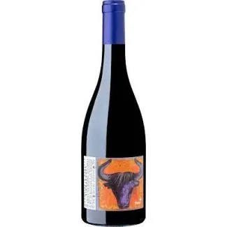 Domaine d'Andezon, Côtes de Rhône Villages 2022, 75 cl.