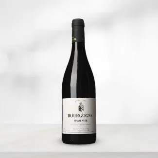 Dom. Patrick Pestre Bourgogne Pinot Noir 2024 75 cl – elegant fransk rødvin på 100 % Pinot Noir fra Bourgogne.