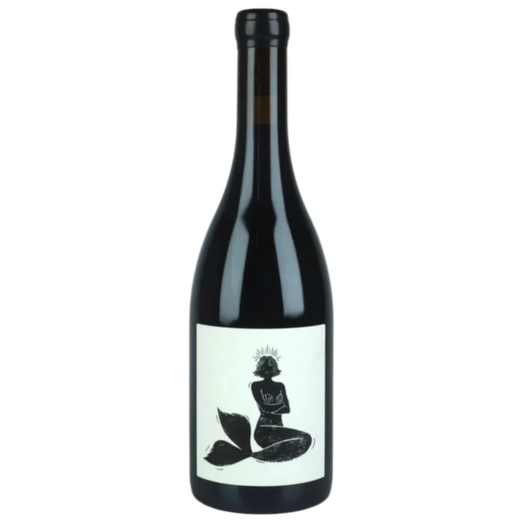 Vin Noé 2023 Bourgogne Rouge - 