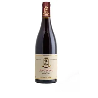 Maison Ambroise Bourgogne Rouge Côte d'Or 2023 Magnum 150 cl – Pinot Noir fra Bourgogne